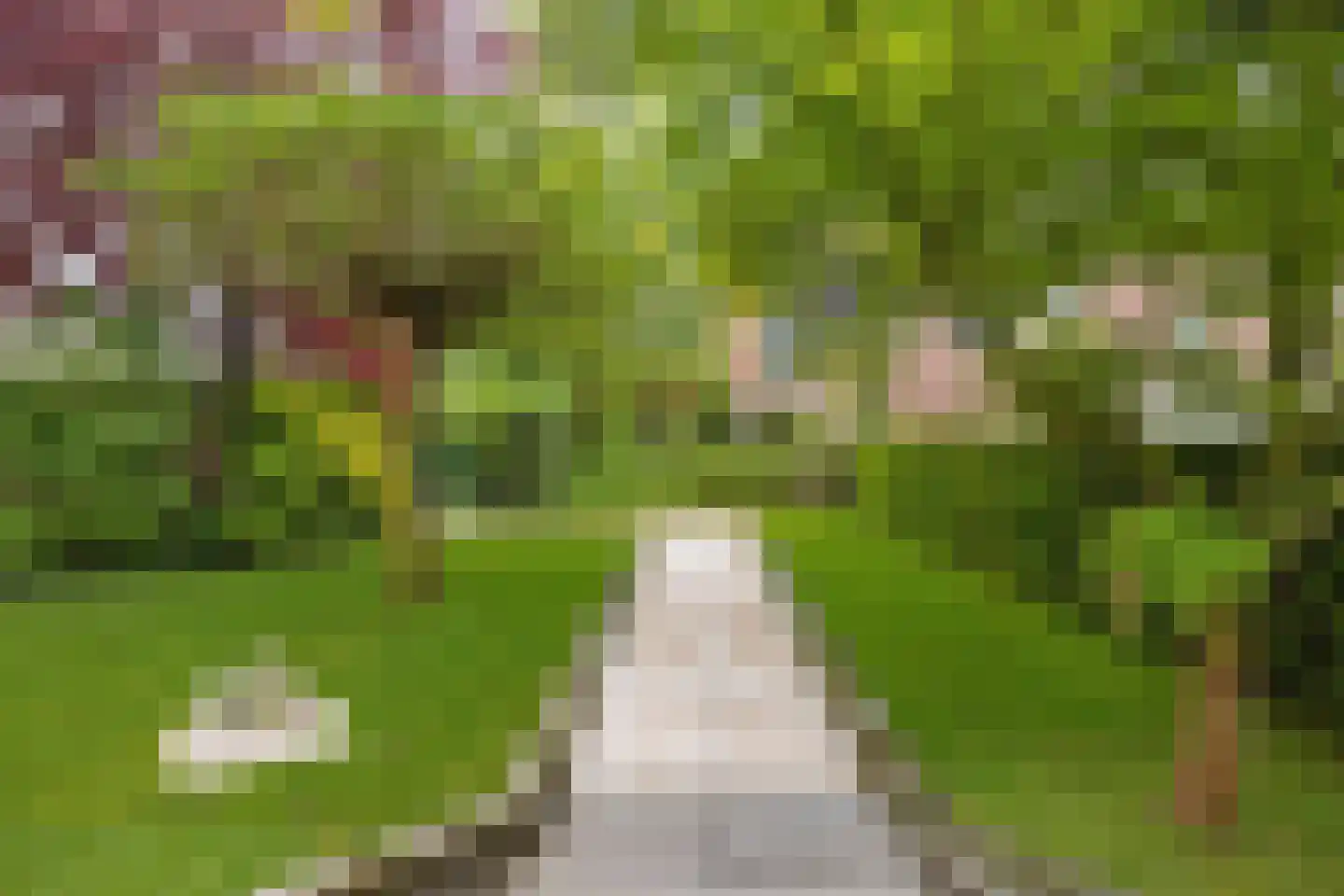 Vilvoordehof 8 Eindhoven thumbnail 11