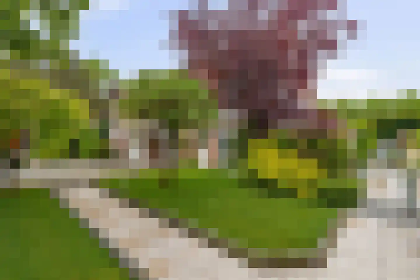 Vilvoordehof 8 Eindhoven thumbnail 12