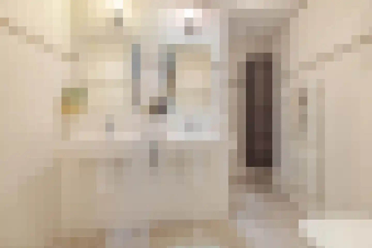 Vilvoordehof 8 Eindhoven thumbnail 16