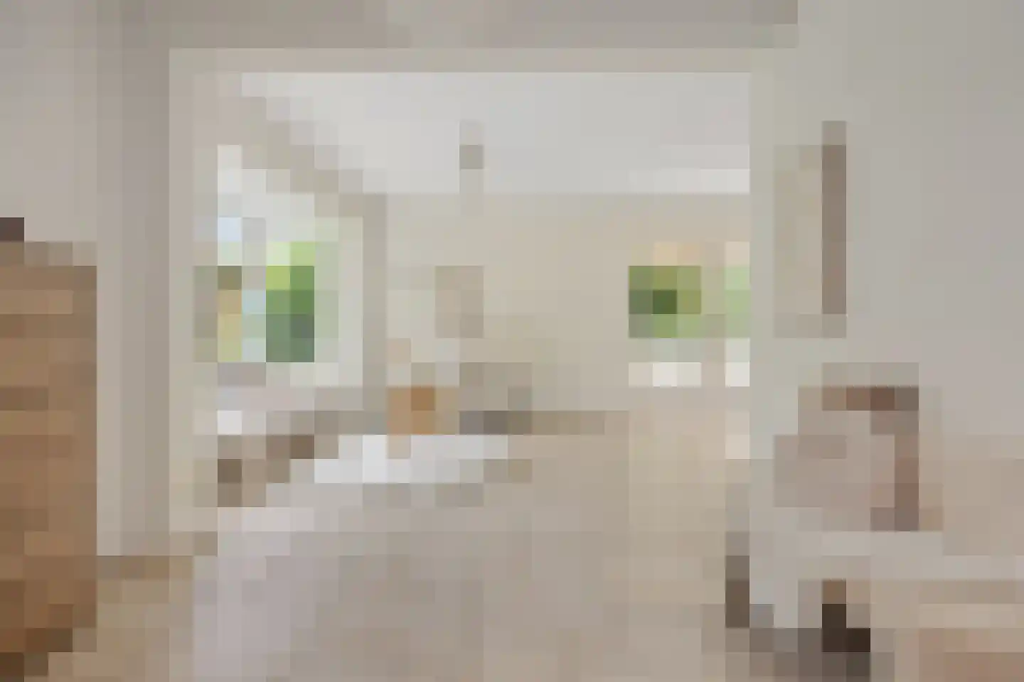 Vilvoordehof 8 Eindhoven thumbnail 18