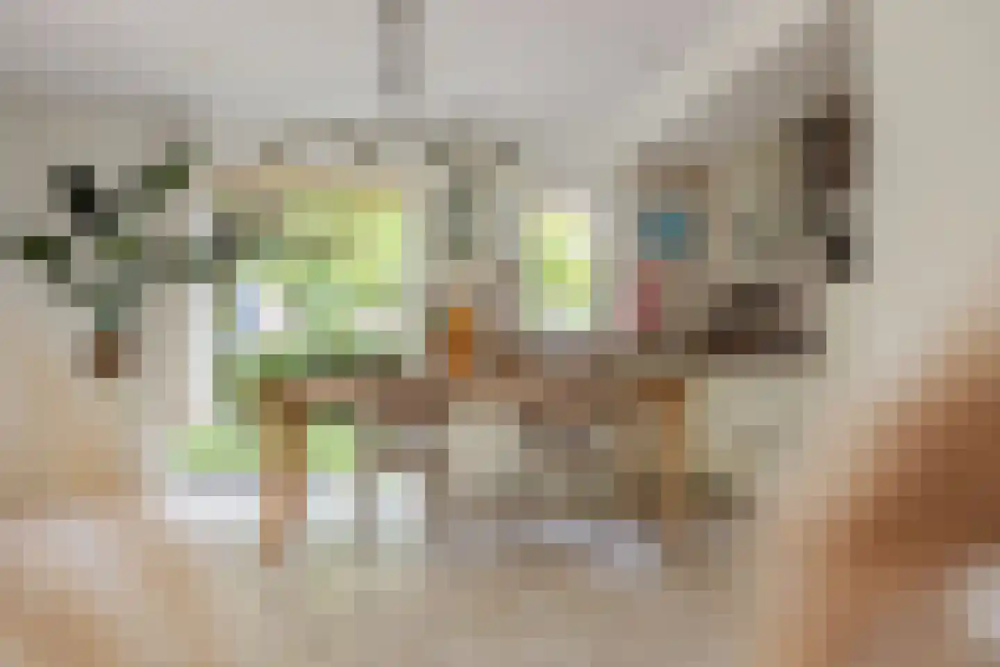Vilvoordehof 8 Eindhoven thumbnail 23