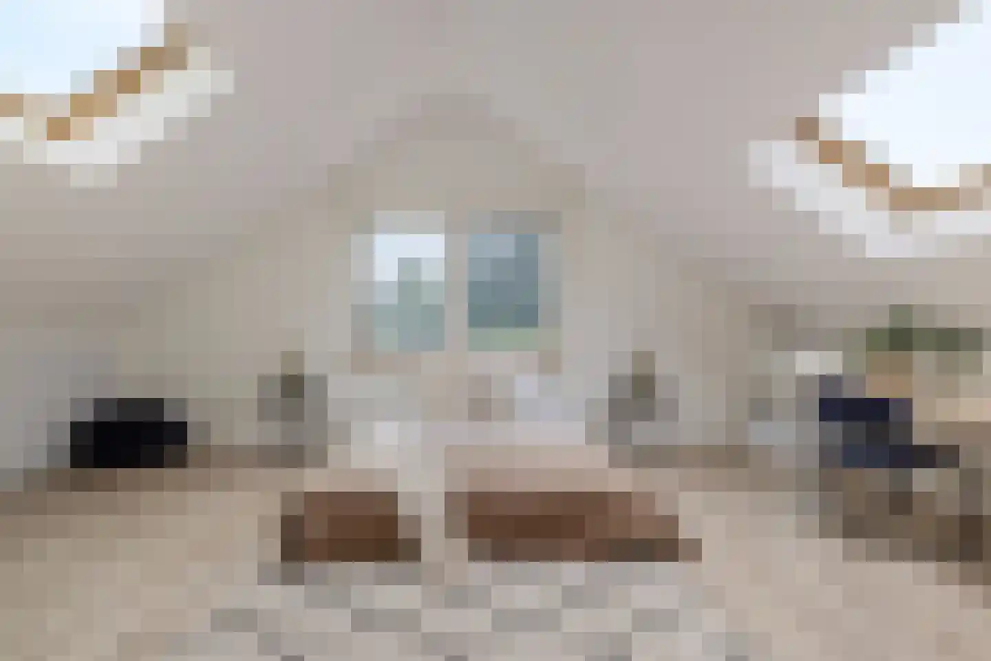 Vilvoordehof 8 Eindhoven thumbnail 27