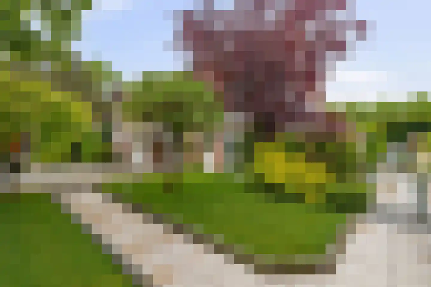 Vilvoordehof 8 Eindhoven thumbnail 33