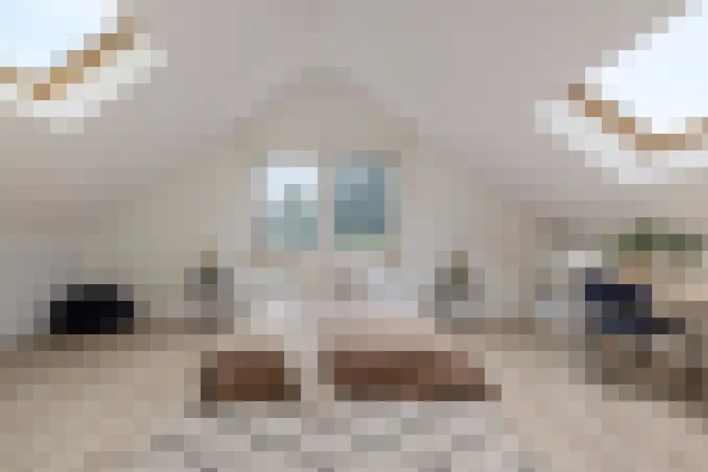 Vilvoordehof 8 Eindhoven thumbnail 6