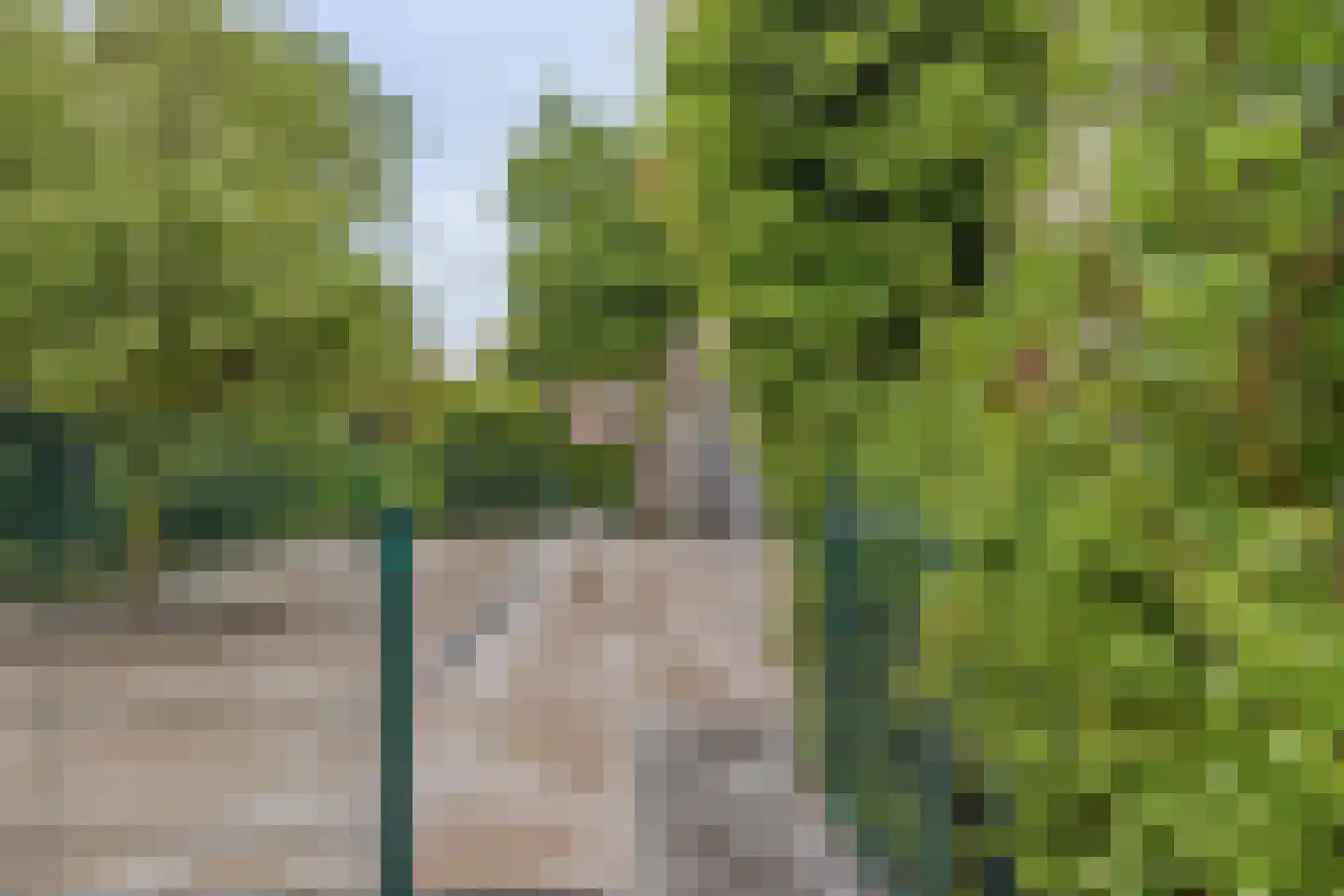 Vilvoordehof 8 Eindhoven thumbnail 62