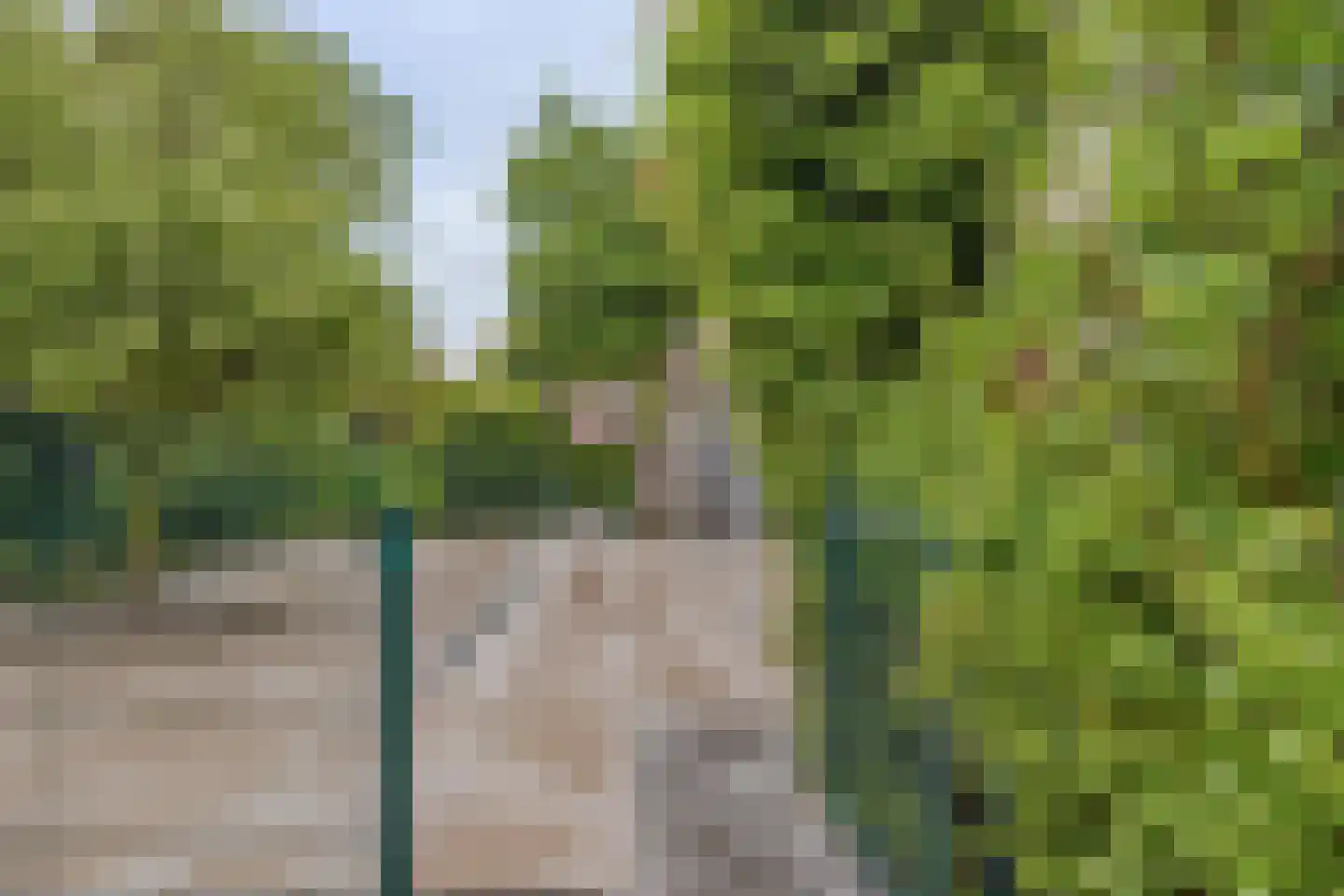 Vilvoordehof 8 Eindhoven thumbnail 62