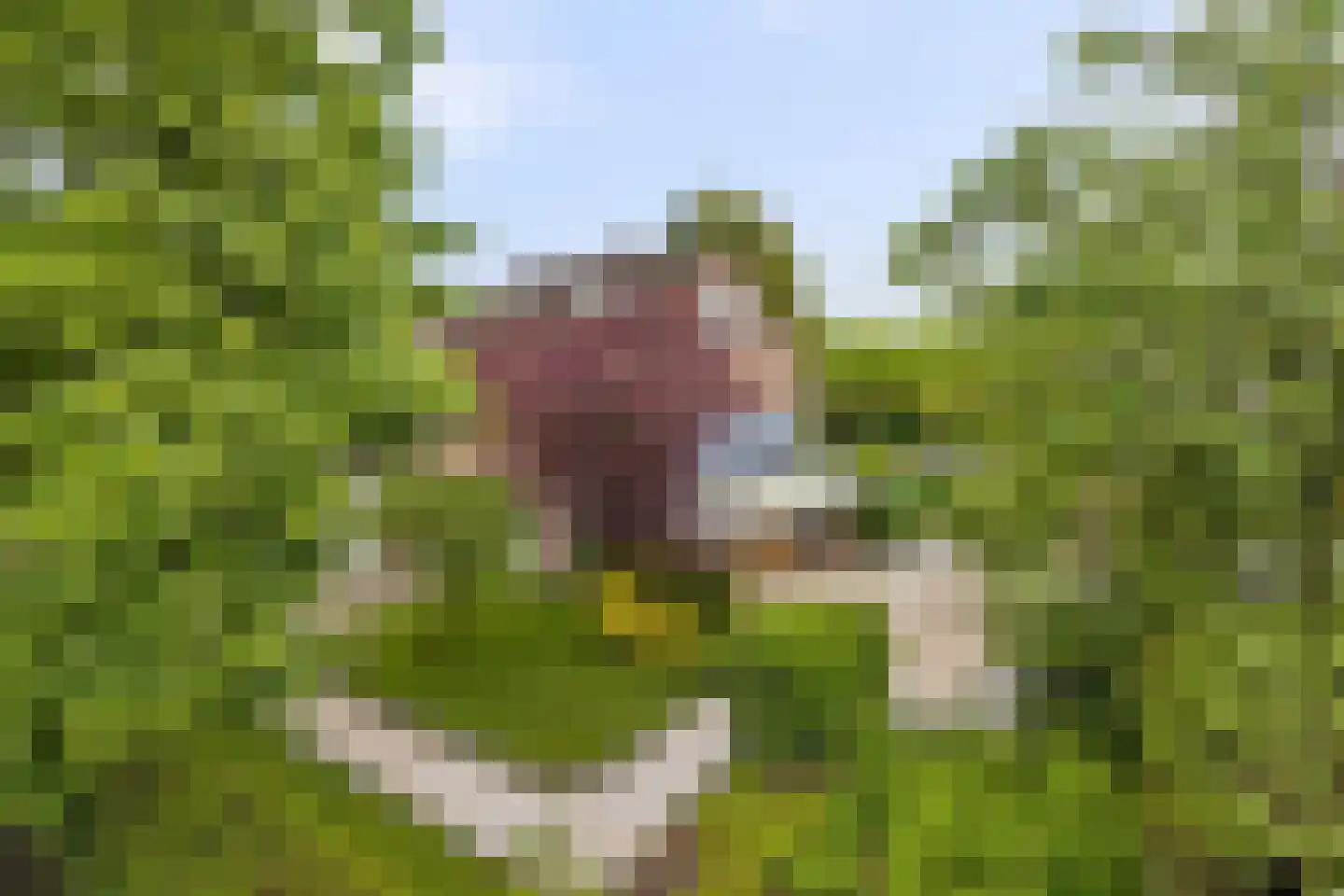 Vilvoordehof 8 Eindhoven thumbnail 9