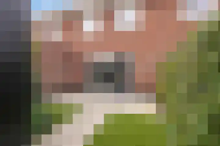 Vin Siepmanstraat 4 Huissen thumbnail 10