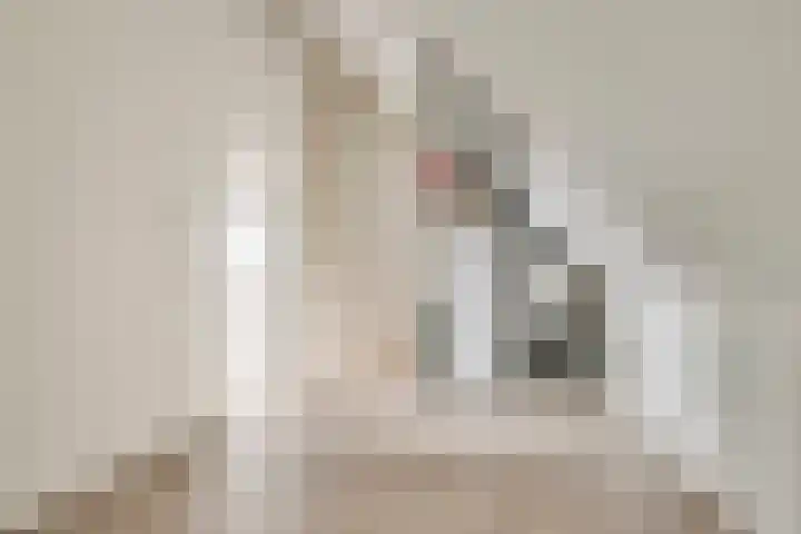 Vin Siepmanstraat 4 Huissen thumbnail 24