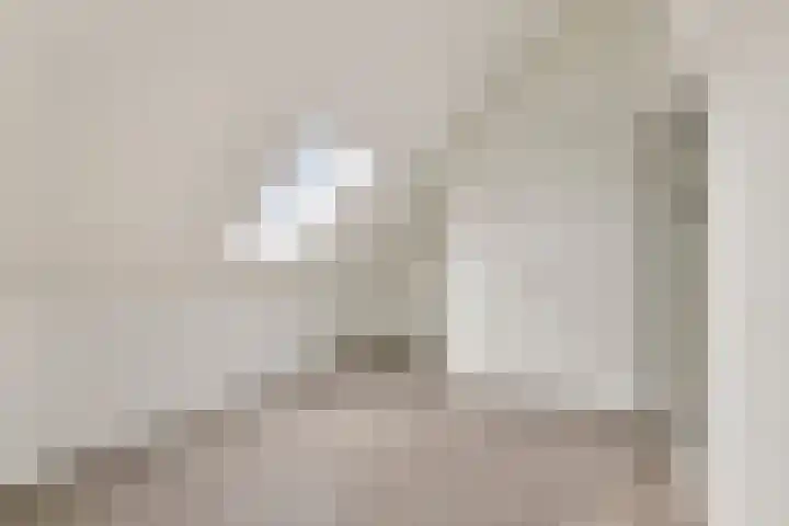 Vin Siepmanstraat 4 Huissen thumbnail 26