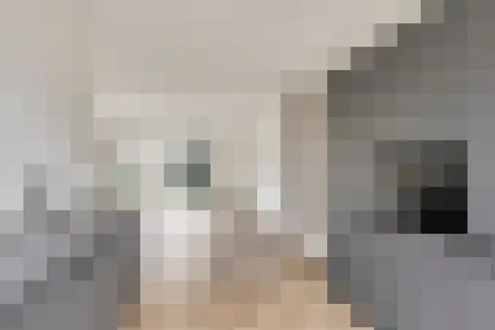 Vin Siepmanstraat 4 Huissen thumbnail 8