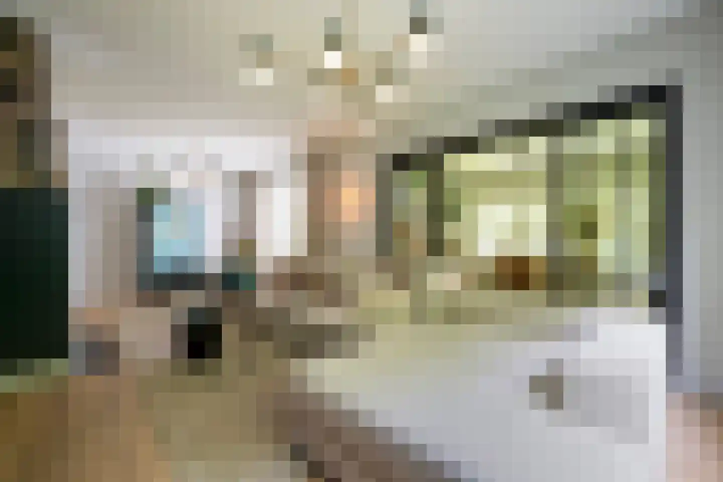 Vincent Cleerdinlaan 2 Waalre thumbnail 13