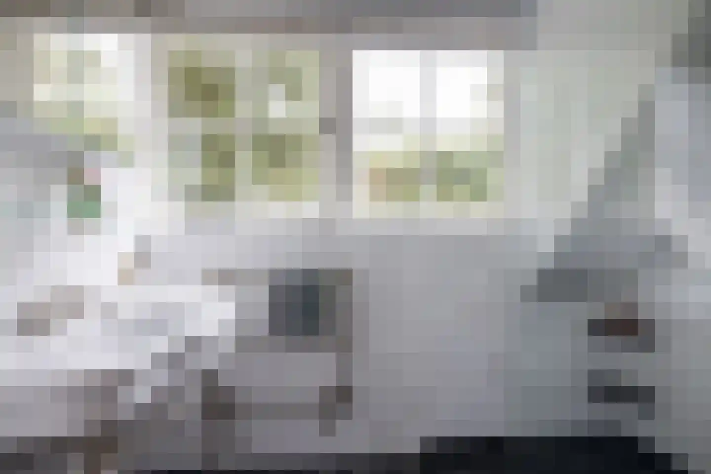 Vincent Cleerdinlaan 2 Waalre thumbnail 35