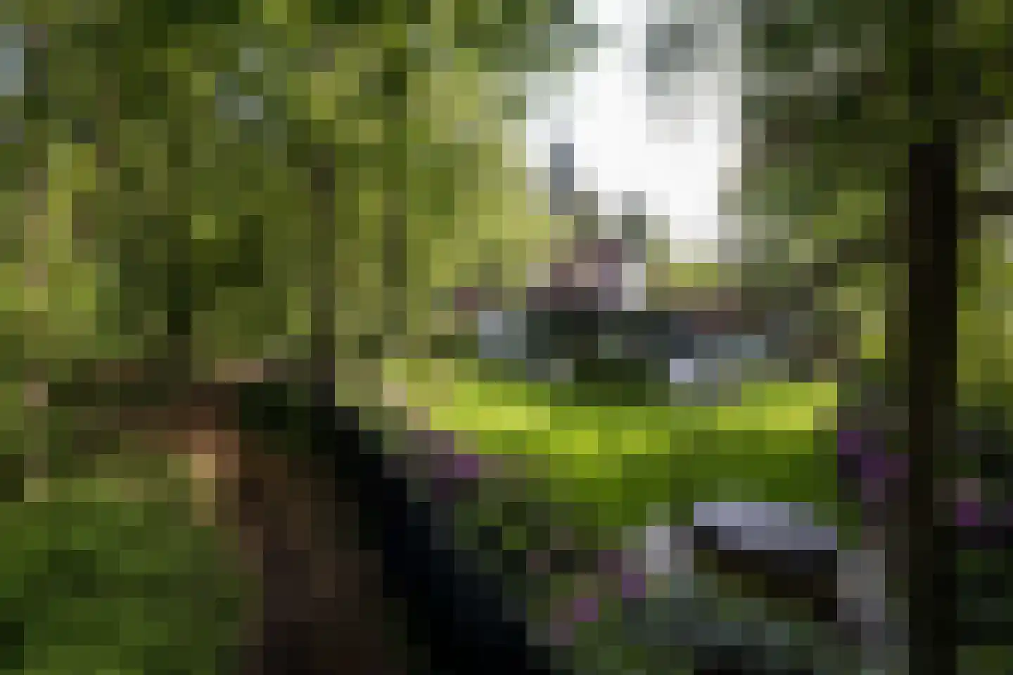 Vincent Cleerdinlaan 2 Waalre thumbnail 37