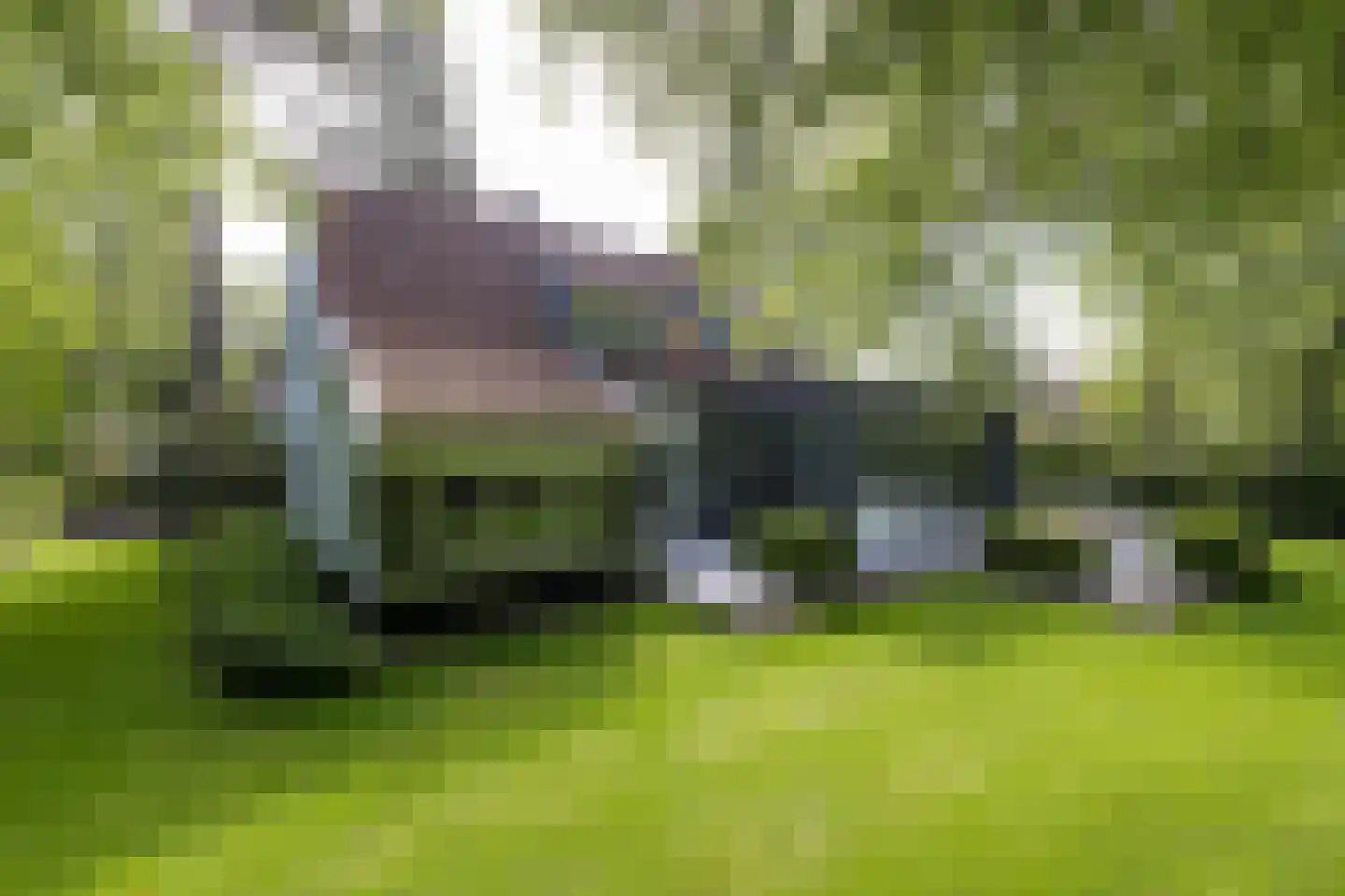 Vincent Cleerdinlaan 2 Waalre thumbnail 39