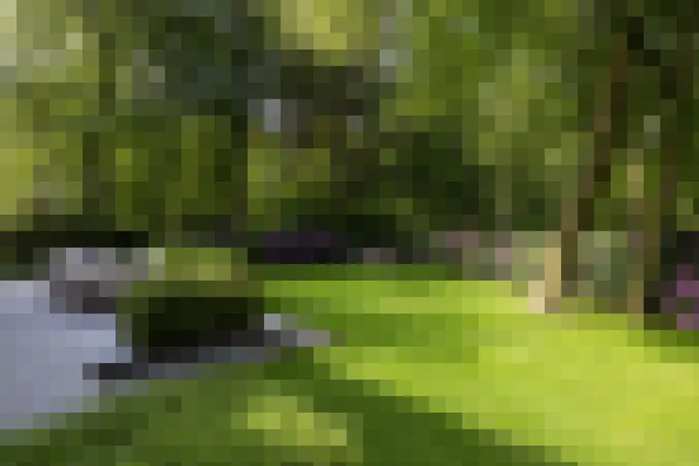 Vincent Cleerdinlaan 2 Waalre thumbnail 42