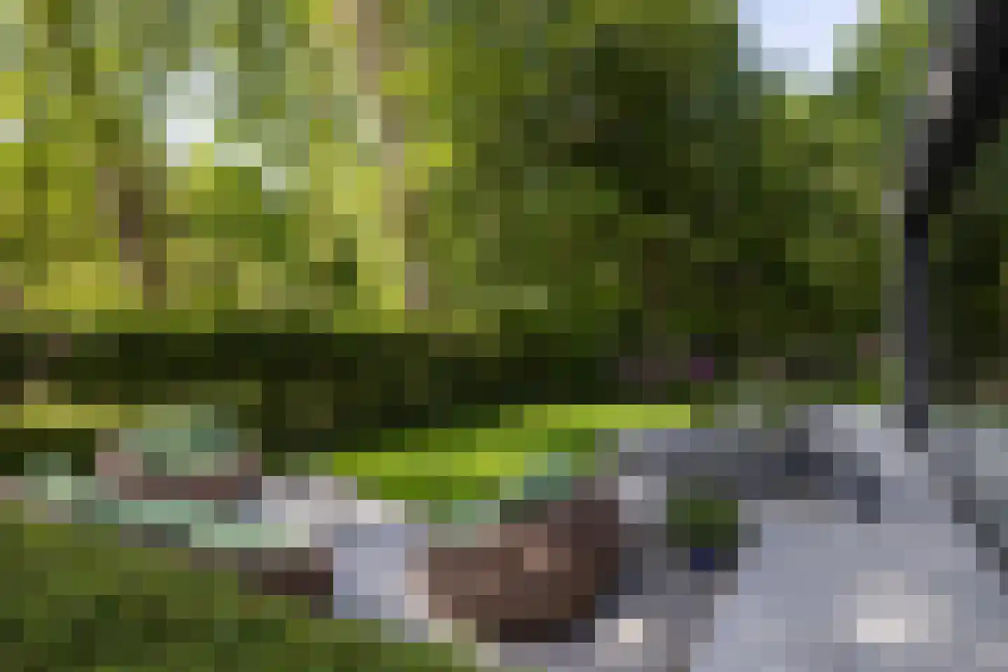 Vincent Cleerdinlaan 2 Waalre thumbnail 47
