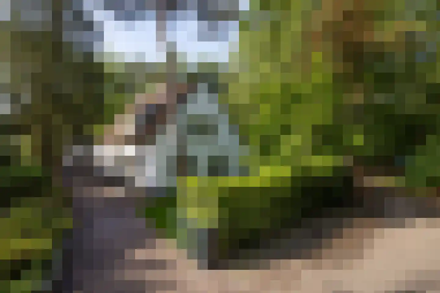 Vincent Cleerdinlaan 2 Waalre thumbnail 6