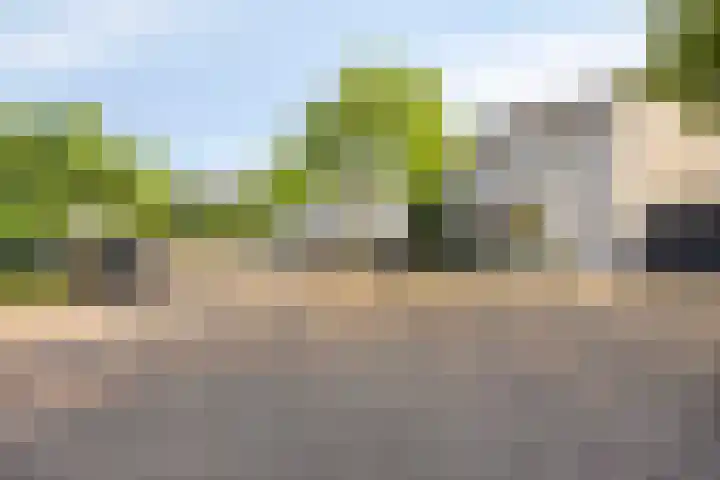 Vincent Lübeckstraat 2 Zwolle thumbnail 33