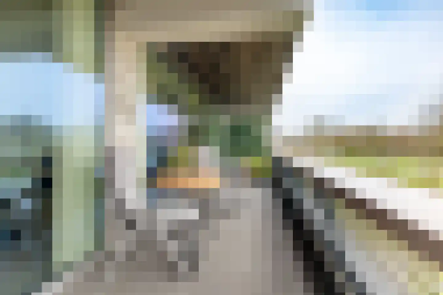 Vincent van den Heuvellaan 19 Eindhoven thumbnail 23