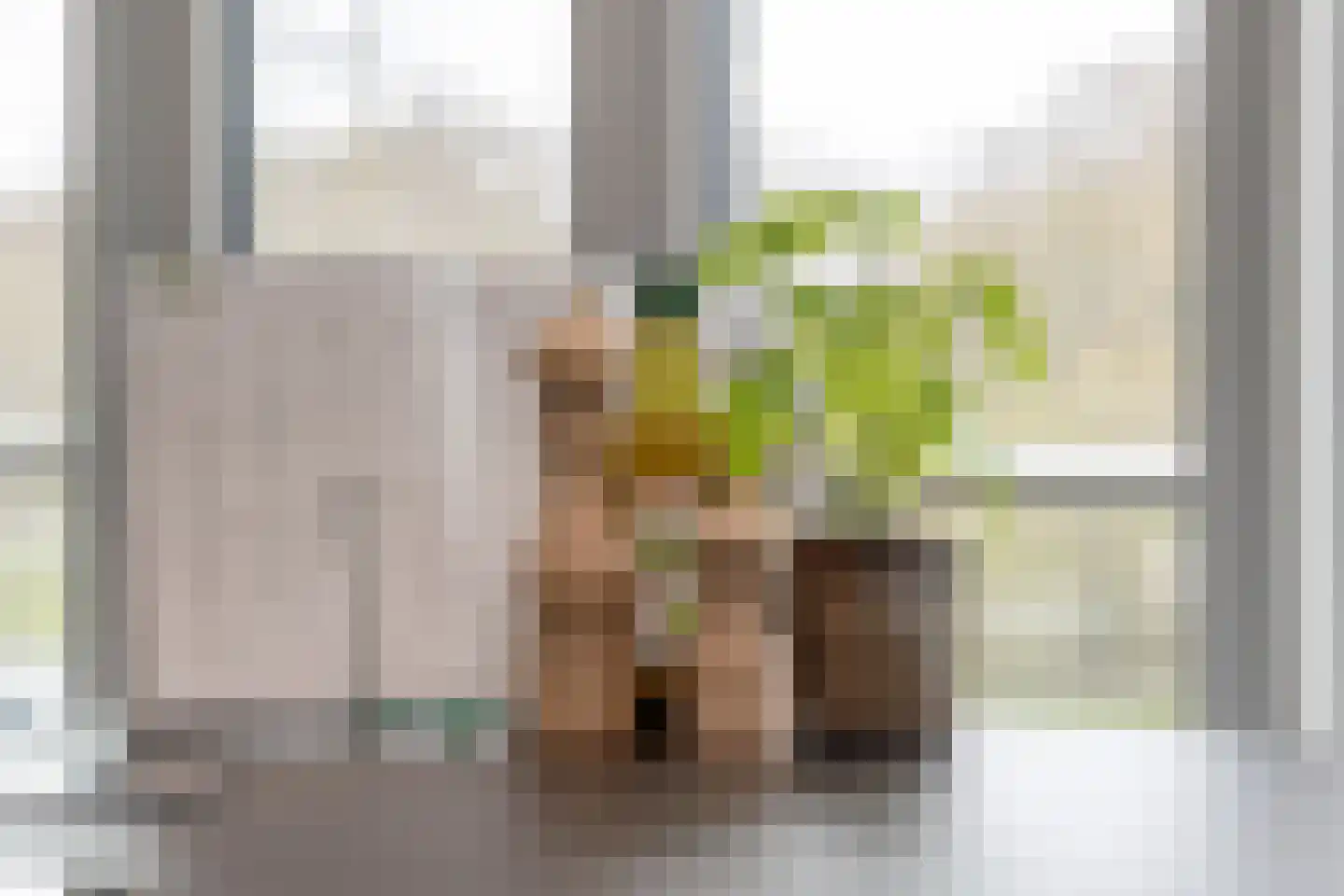 Vincent van den Heuvellaan 19 Eindhoven thumbnail 29