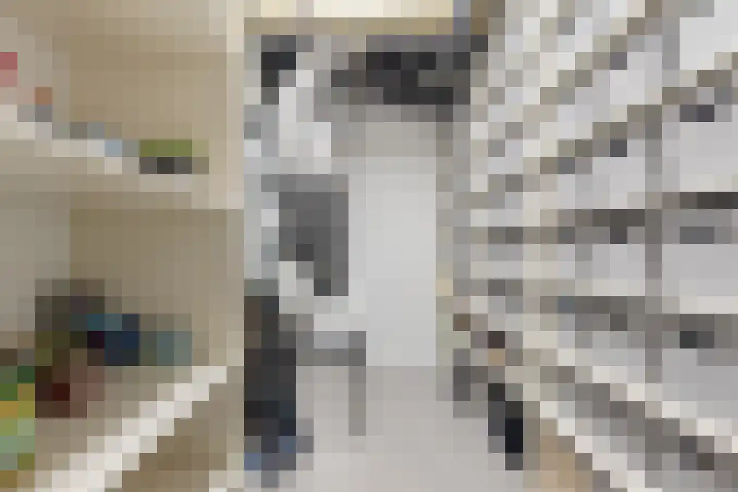 Vincent van den Heuvellaan 19 Eindhoven thumbnail 44