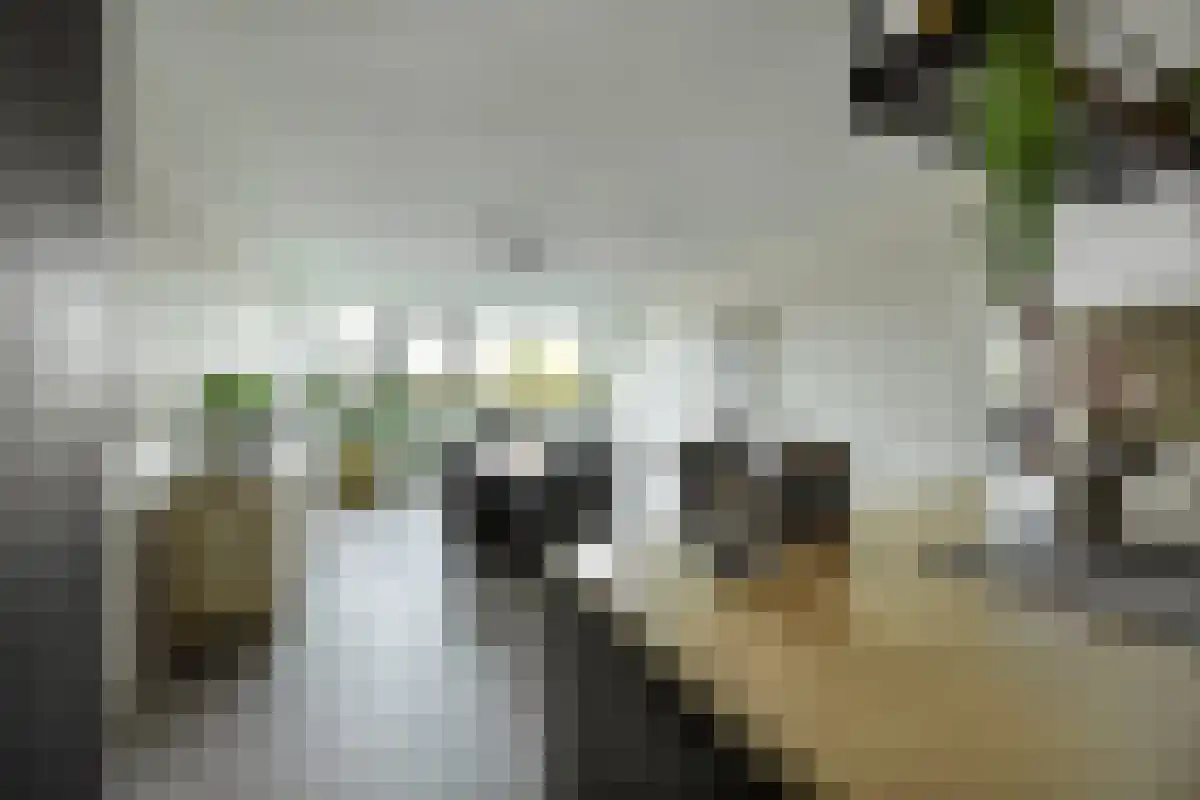 Vincent van den Heuvellaan 21 Eindhoven thumbnail 10