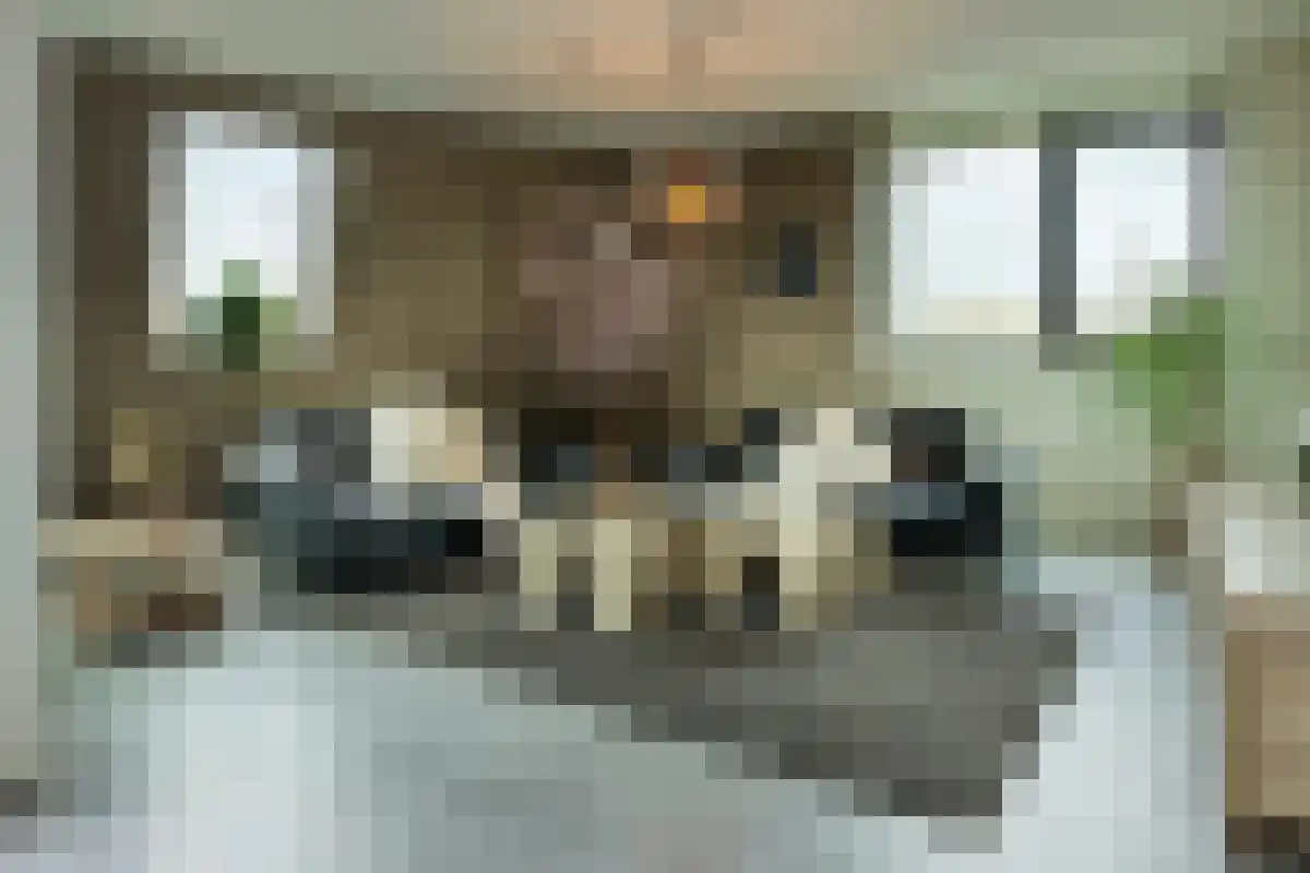 Vincent van den Heuvellaan 21 Eindhoven thumbnail 18