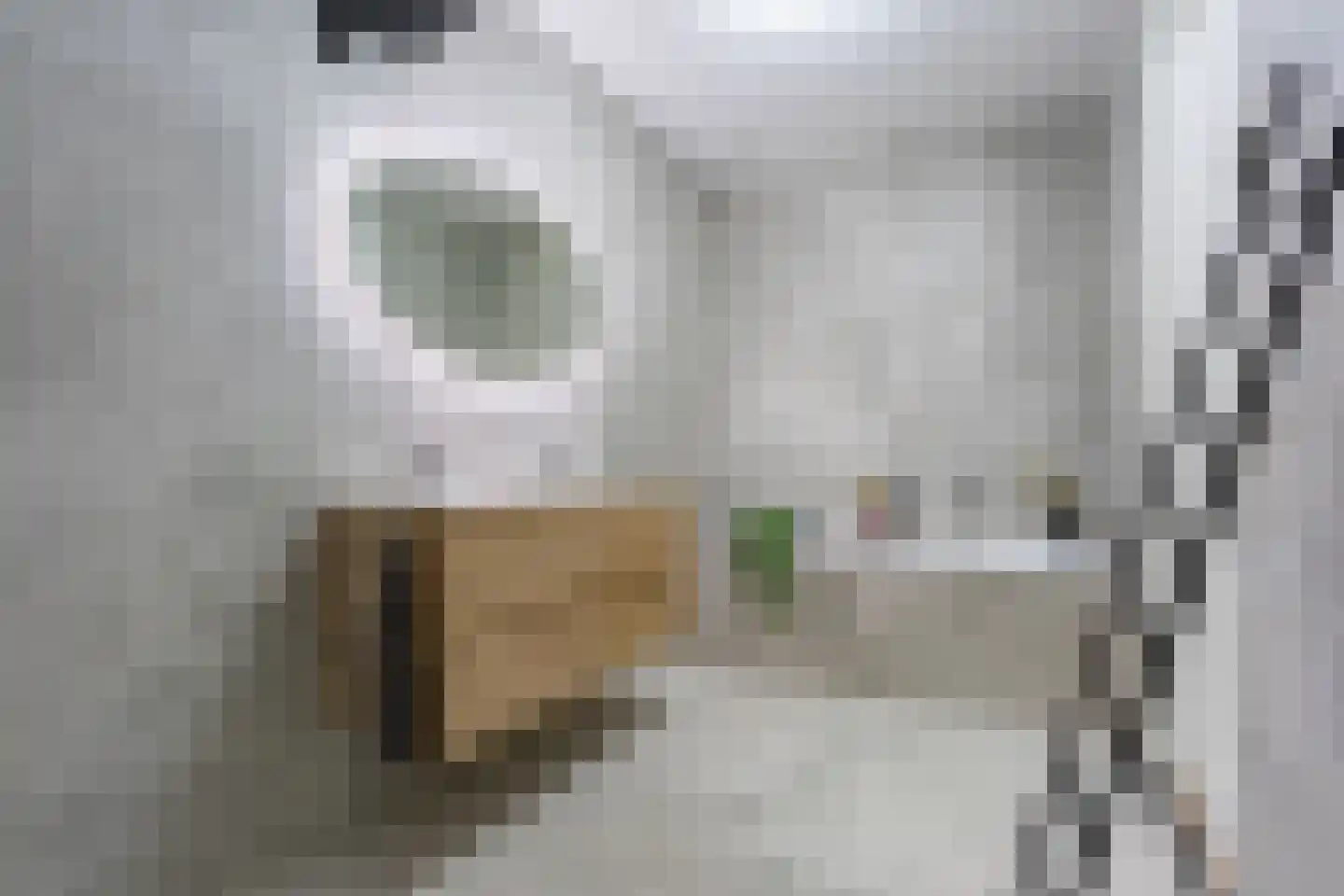 Vincent van den Heuvellaan 21 Eindhoven thumbnail 19