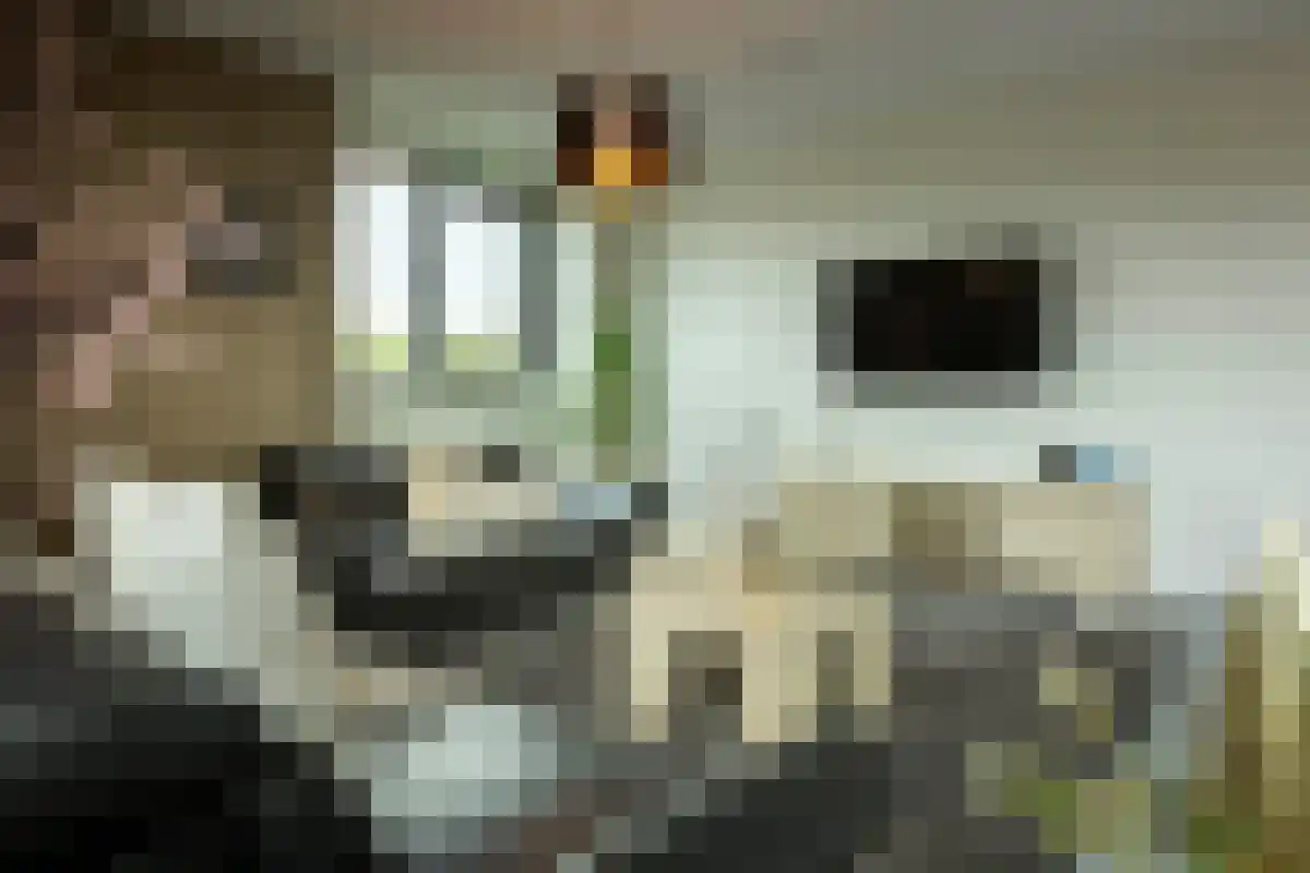 Vincent van den Heuvellaan 21 Eindhoven thumbnail 19