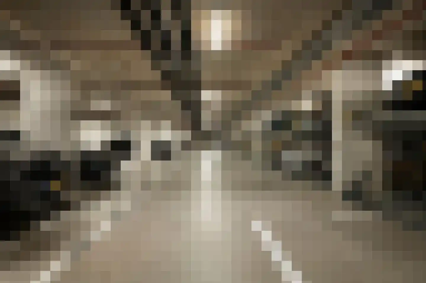 Vincent van den Heuvellaan 21 Eindhoven thumbnail 27
