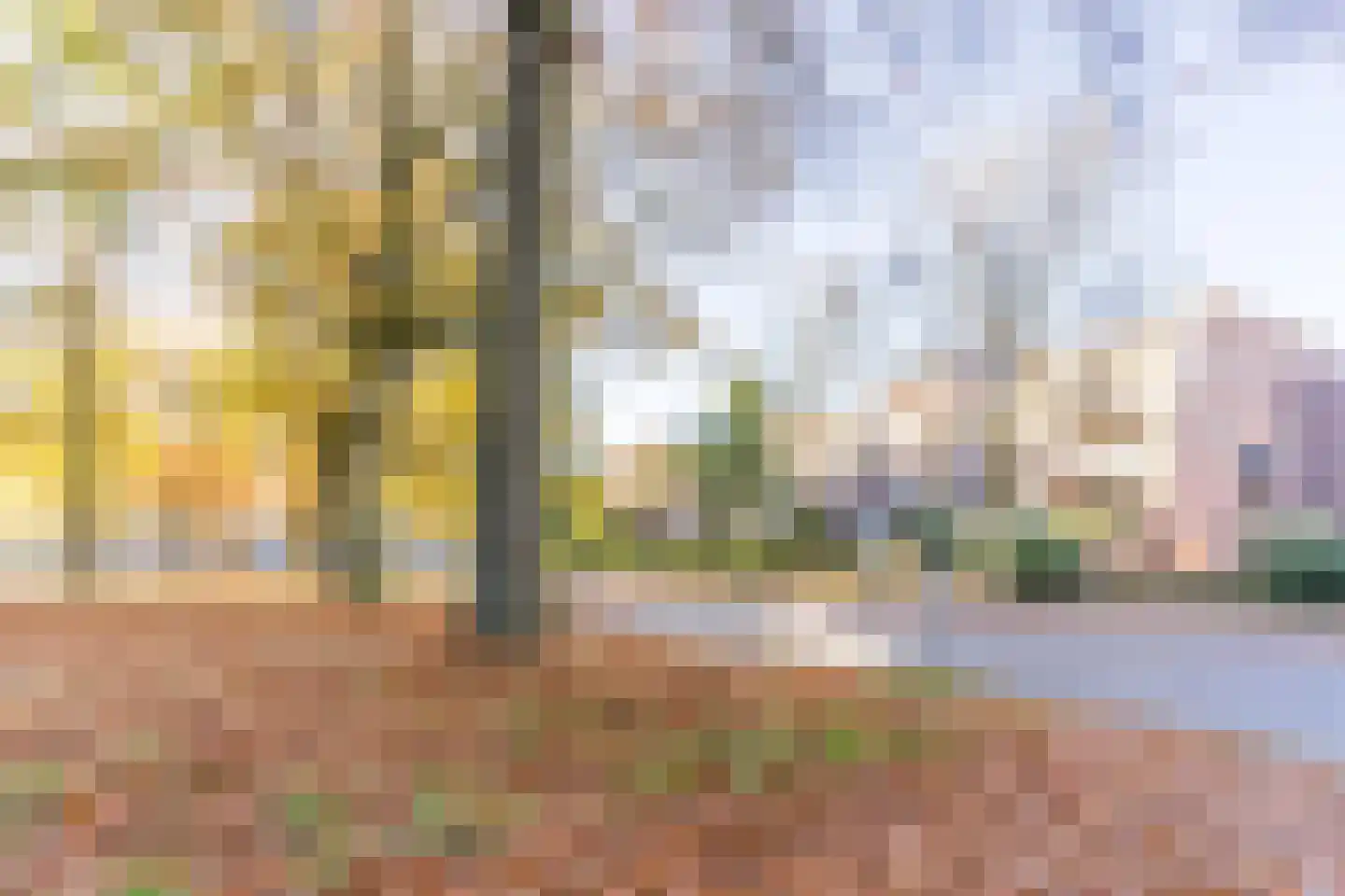 Vincent van den Heuvellaan 21 Eindhoven thumbnail 28