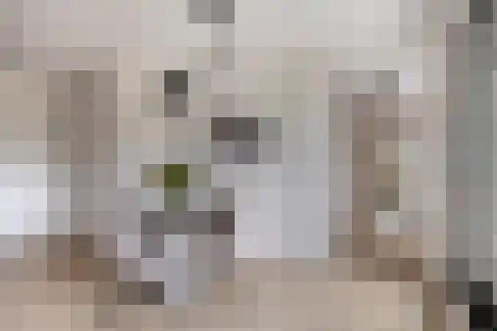 Vincent van den Heuvellaan 33 Eindhoven thumbnail 14