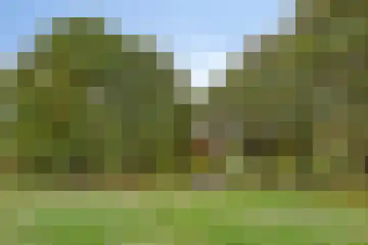 Vincent van den Heuvellaan 33 Eindhoven thumbnail 36