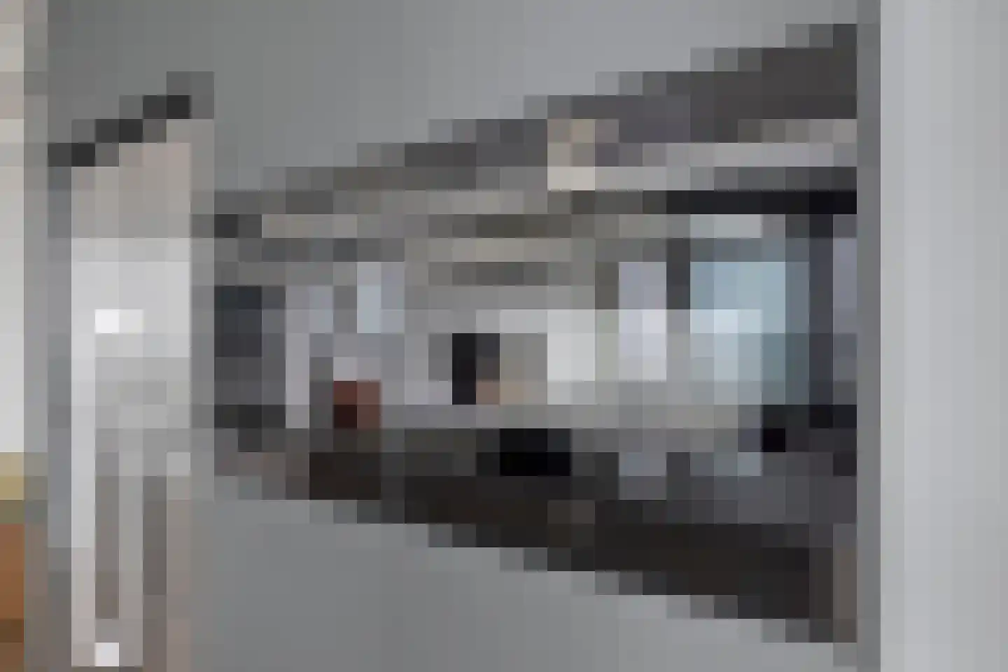 Vincent van den Heuvellaan 423 Eindhoven thumbnail 22