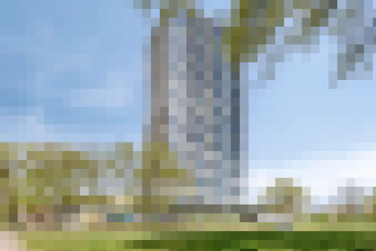 Vincent van den Heuvellaan 427 Eindhoven thumbnail 32