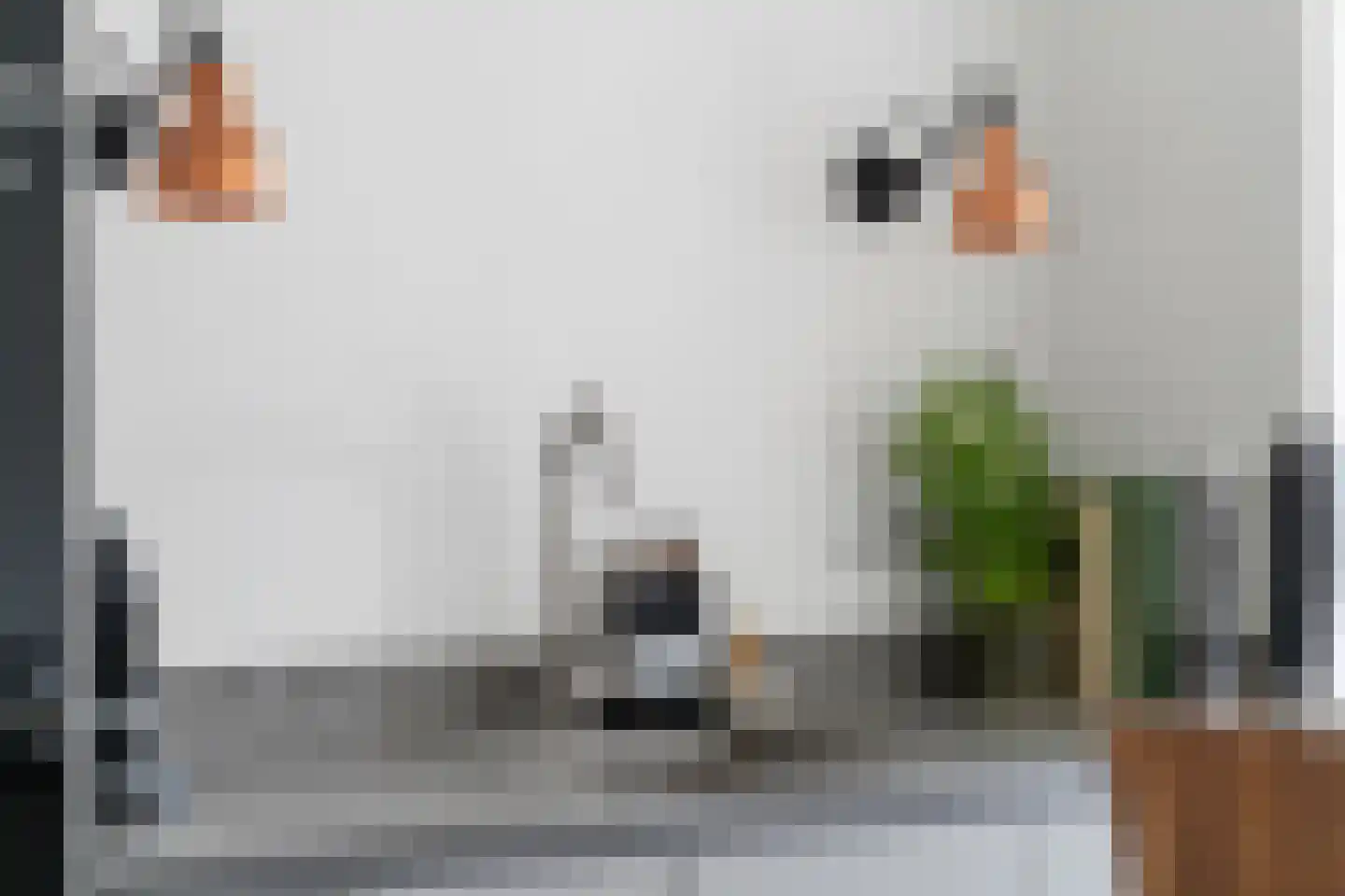 Vincent van den Heuvellaan 55 Eindhoven thumbnail 22