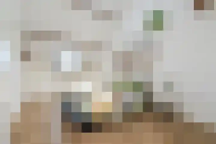 Vincent van den Heuvelstraat 15 Geldrop thumbnail 23