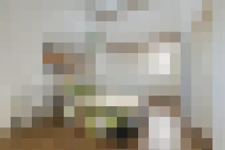 Vincent van den Heuvelstraat 15 Geldrop thumbnail 24
