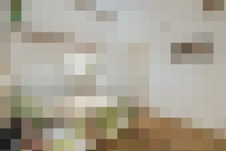 Vincent van den Heuvelstraat 15 Geldrop thumbnail 25