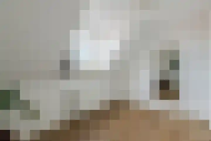 Vincent van den Heuvelstraat 15 Geldrop thumbnail 26