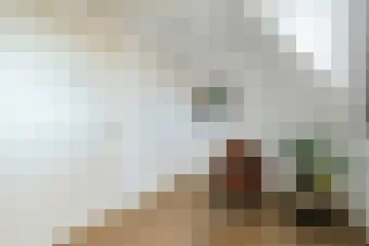 Vincent van den Heuvelstraat 15 Geldrop thumbnail 27