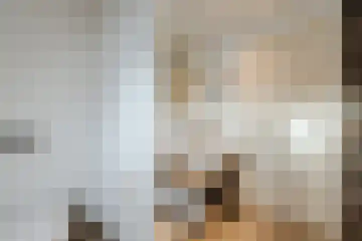 Vincent van den Heuvelstraat 15 Geldrop thumbnail 28