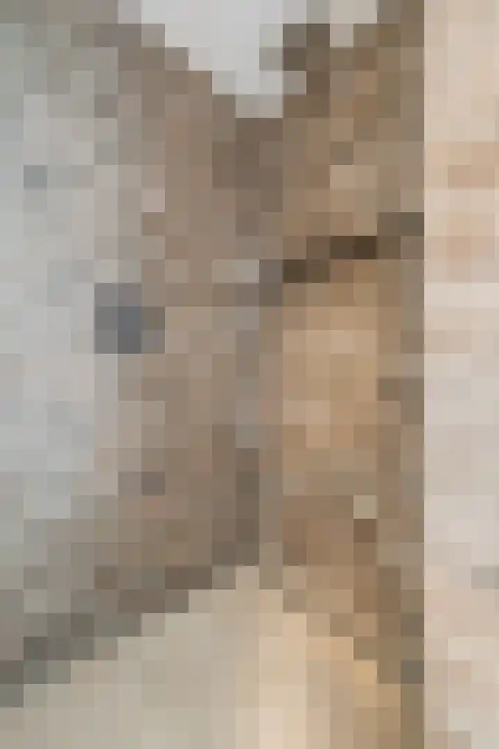 Vincent van den Heuvelstraat 15 Geldrop thumbnail 31