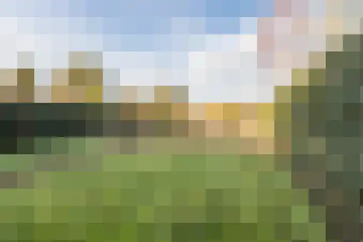 Vincent van den Heuvelstraat 15 Geldrop thumbnail 39