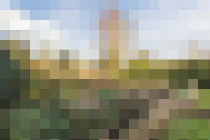 Vincent van den Heuvelstraat 15 Geldrop thumbnail 40