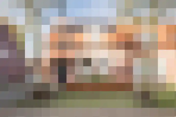 Vincent van den Heuvelstraat 15 Geldrop thumbnail 42
