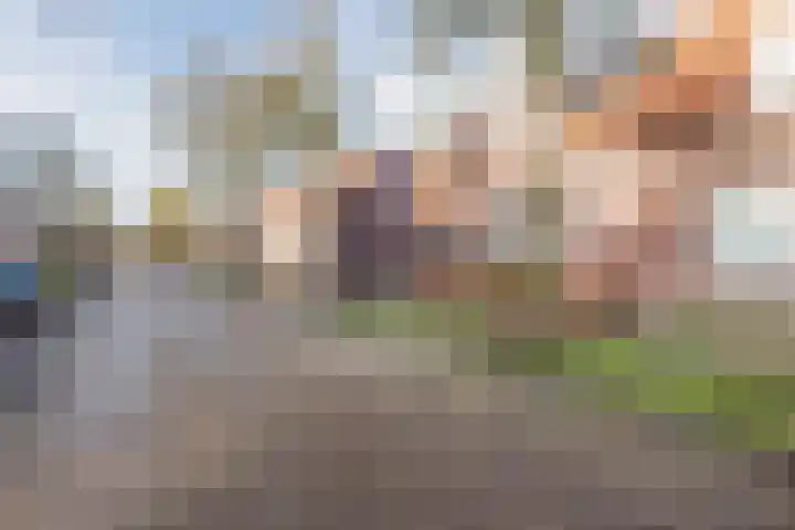 Vincent van den Heuvelstraat 15 Geldrop thumbnail 44