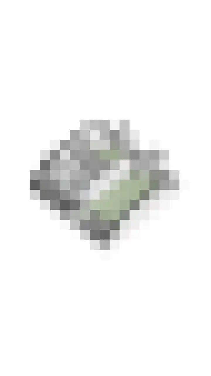 Vincent van den Heuvelstraat 15 Geldrop thumbnail 52