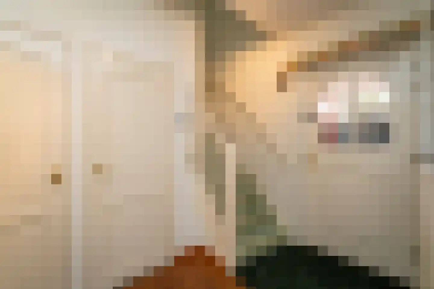 Vincent van Goghlaan 1 Berkel-Enschot thumbnail 11